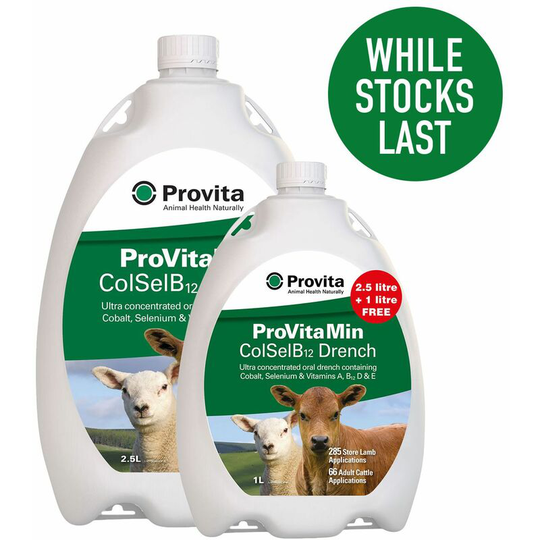 Min Colselb12 Promo Pack - 2.5 Lt - Provita