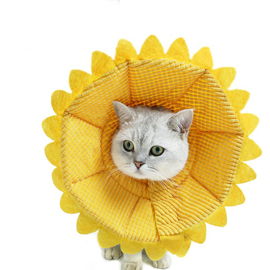 Perle Rare - Anti-bite collar for dogs and cats Adjustable protection Comfort Tapered recovery collar for dogs and cats in a pretty yellow sunflower