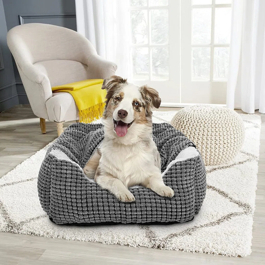 Barberton Dog Sofa in Grey