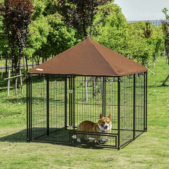 Dog House