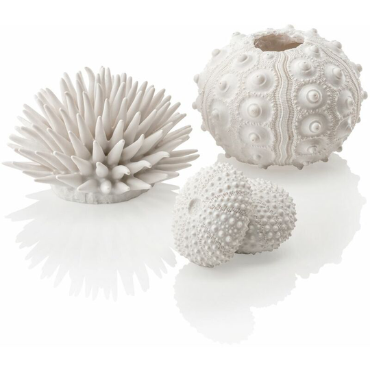 Sea Urchins Set, White - Biorb