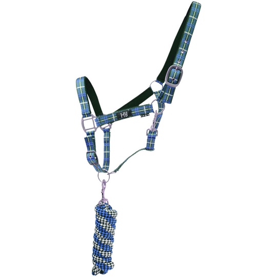 Tartan Head Collar with Lead Rope (Cob) (Navy/White/Blue) - Navy/White/Blue - HY