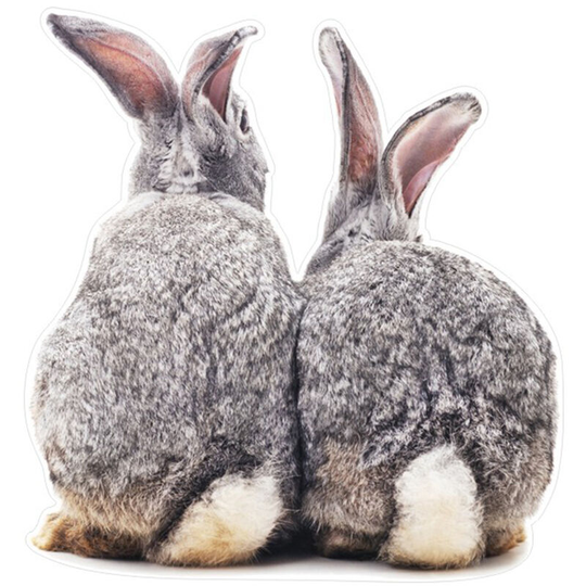 Asupermall - 1PCS Two Bunnies Sticker Cute Lovely Rabbits 3D Removable Wall Sticker Home Decor Car Body Sticker Vinyl Small Size 6.3*5.9in,model: