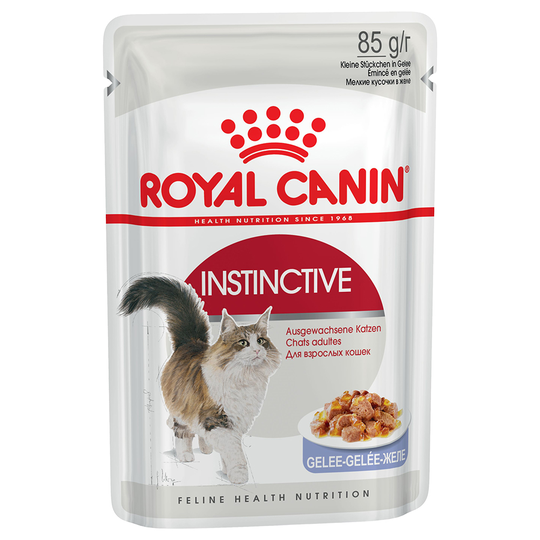 Royal Canin Wet Cat Food Saver Pack 48 x 85g - Adult Instinctive in Jelly