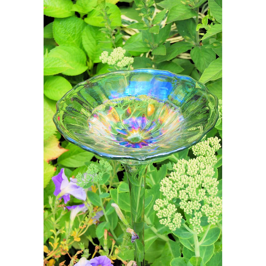 Edgington Glass Bird Bath