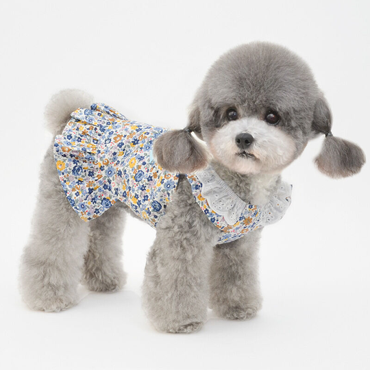 Pet clothes spring and summer new puppy clothes Teddy Boomerang vip clothes pet skirt puppy skirt m (chest 35', neck 28', back 25' for weight 5