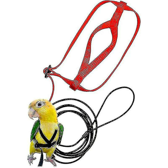 Parrot Flying Rope Anti Bite Flying Rope Traction Rope Tiger Skin Xuanfeng Bird Walking Rope Out Training Rope Bird Supplies-red