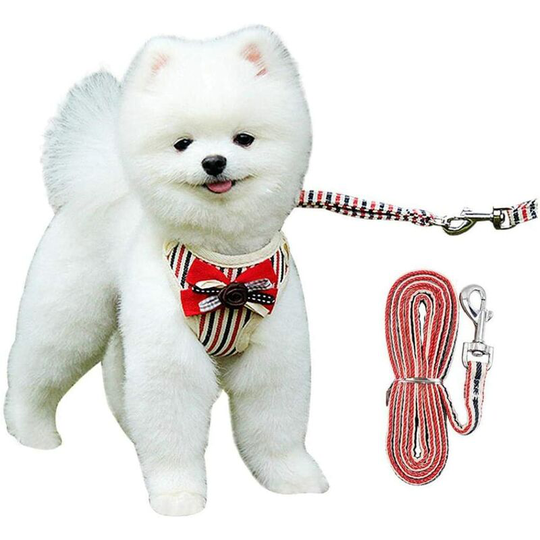 Deckon - Pet Harness Small Cat Vest Dog Harness Set with Bowknot Mesh Padded Leash for Small Puppy Dogs (Red m) Pet Supplies