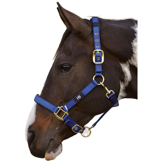 Hy Deluxe Padded Head Collar (Pony) (Navy) - Navy