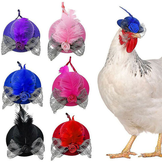 Chicken Hat Adjustable Strap Feather Cap For Hens Rooster Parrot Rabbit Fancy Dress Costume Black-Thsinde