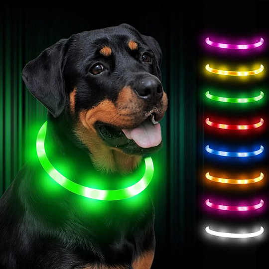 Light Up Dog Collar, Rechargeable led Fluorescent Dog Collar, 8 Colors, 3 Modes Adjustable Safety Collar for Small Large Medium Dogs, Green