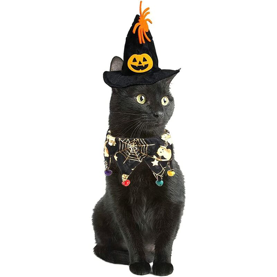 Halloween Hat and Scarf Set Skull Cat Pattern Cape Hat Halloween Christmas Holiday Pet Costume