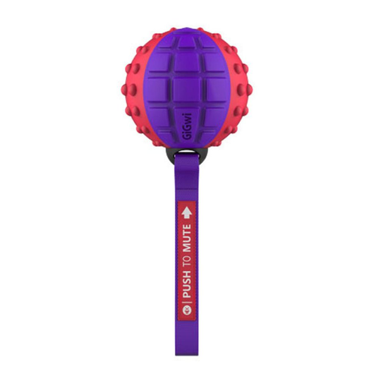 Gigwi Regular Ball 'push To Mute' Solid Red / Purple