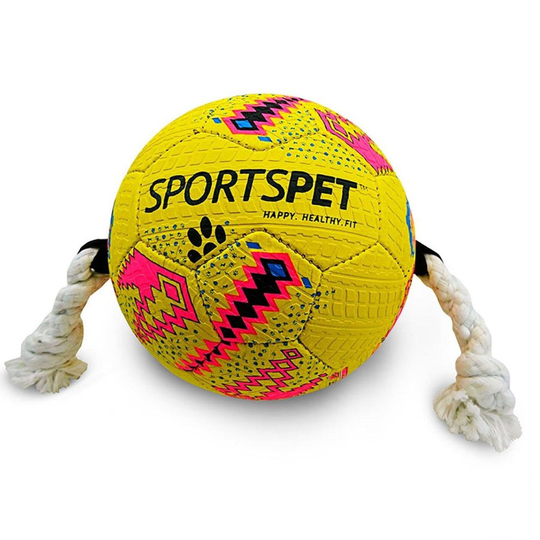 Sportspet Dog Football Toy With Handles
