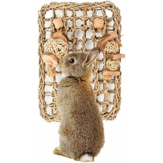 Qersta - Rabbit Toys, Rabbit Activity Mat Small Animal Chew Toy Carrot Ball Play Activity Toy Seagrass Mat for Bunny Rabbit Chinchilla Hamster Guinea