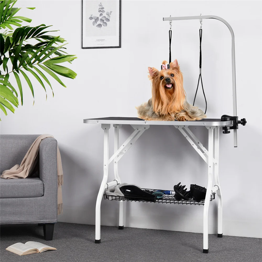 Pet Grooming Table