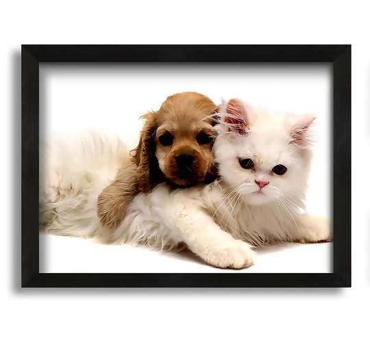 Puppy and Kitten Love - Picture Frame Photograph on Canvas