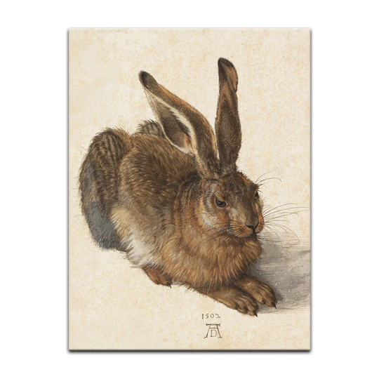 'Hare' by Albrecht Dürer Framed Oil Painting Print on Canvas