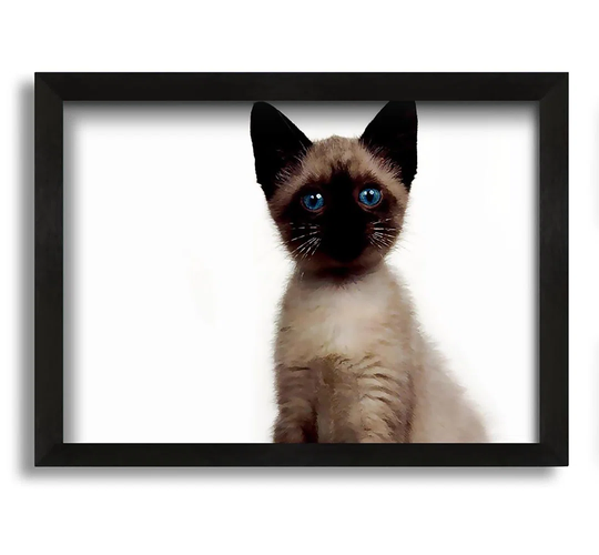 Kitten Mischief - Picture Frame Graphic Art on Canvas