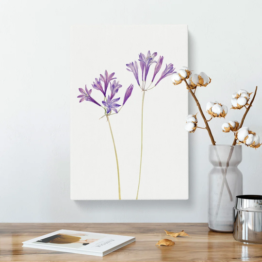 Grass Nut by Mary Vaux Walcott - Wrapped Canvas Painting