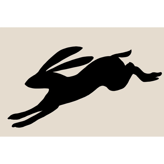 Animal Sprinter II by Jacob Green - Wrapped Canvas Graphic Art