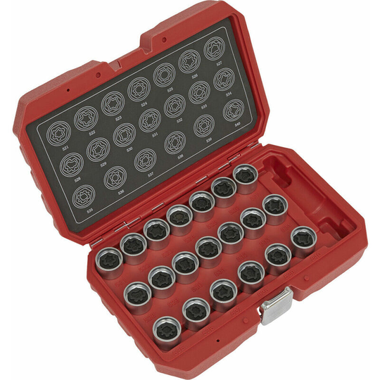 Loops - 20pc Locking Wheel Nut Key Set - dealers/repair centres only - For vag Vehicles