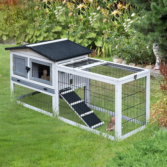 Abrams Small Animal Hutch