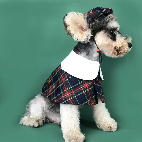 2 pieces of dog clothes, hats, British style, cute, Teddy Schnauzer, Pomacy Heights, Keji Pet Cloak (m: neck circumference 29cm)