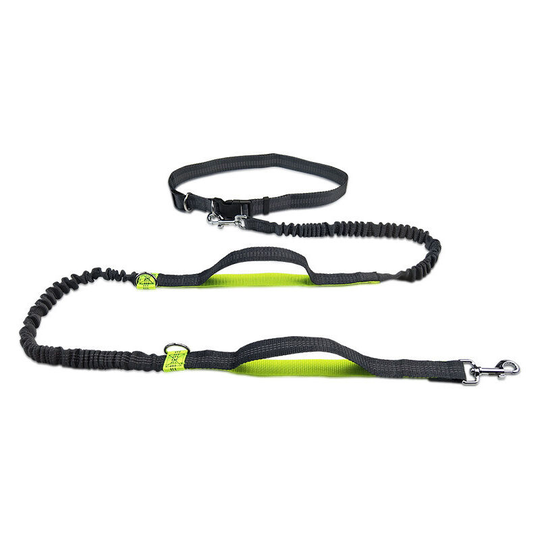 Hands Free Dog Lead with Reflective Bungee,Adjustable Waist Belt,Dual-Handle Dog Leash