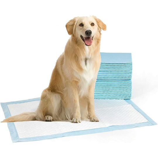 Readcly - Large Dog Pads 60x90 Incontinence Pads Absorbent Waterproof Pet Pads Puppy Toilet Essential Dog Trainer Pads(Pack of 20) - l