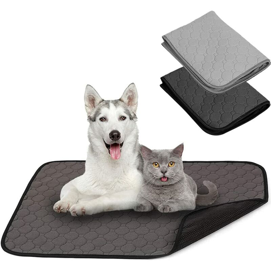 Set of 2 Dog Training Pads Washable Reusable Absorbent Non-Slip Random Color (M)