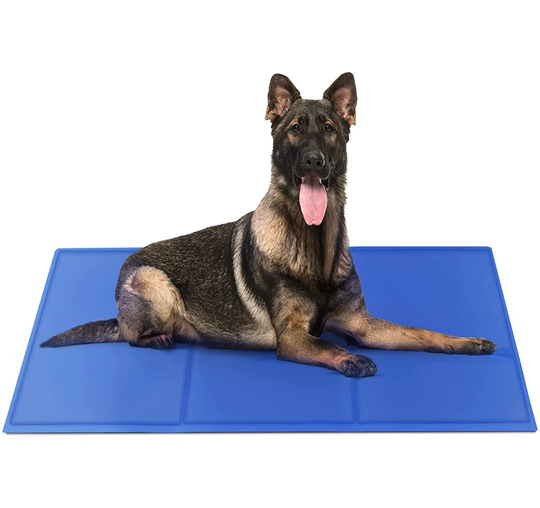 Audrina Dog Mat in Blue