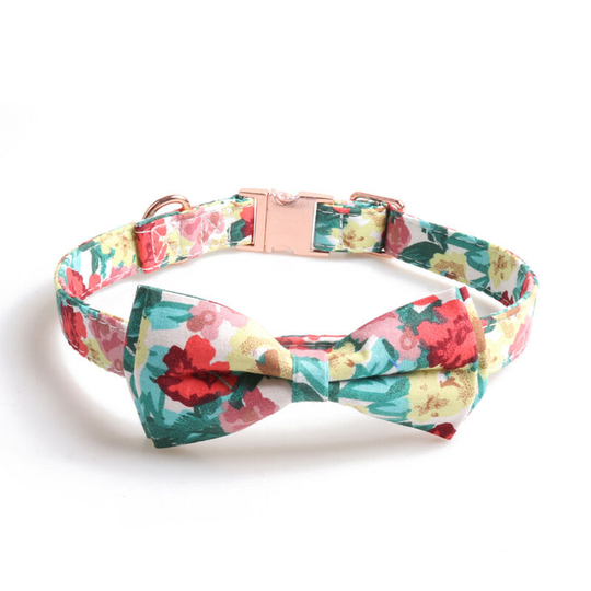 Honor Premium Dog Collar, Bow Tie Dog Collar, Heavy Duty Adjustable Bow Tie Dog Collar