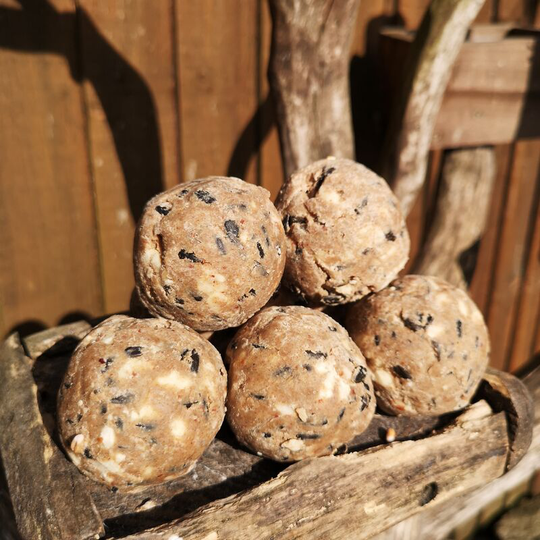 Garden Wild Bird Fat Balls - 10 pack - Multi Seed & Nut - 100% Extra Free - Tom Chambers