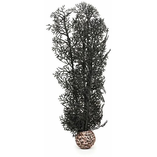Sea Fan Medium, Black - Biorb