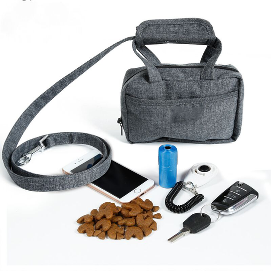Dog Leash Dog Carrier Bag Cat Handbag Shoulder Strap Small Pet Carrier Outdoor Travel (Gray)