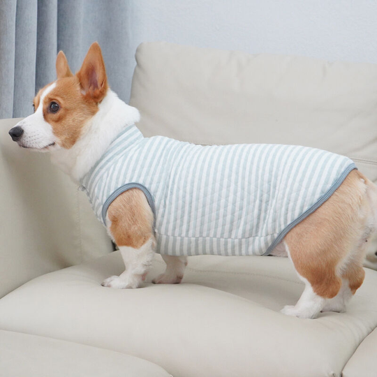 Dog vest, autumn and winter new pet clothes, Teddy Fadou Keji cat clothes, 24 * 28 * 26cm