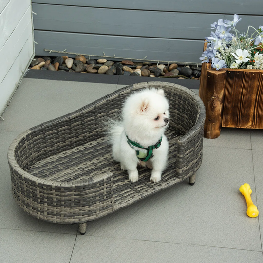 Dog Sofa In Grey