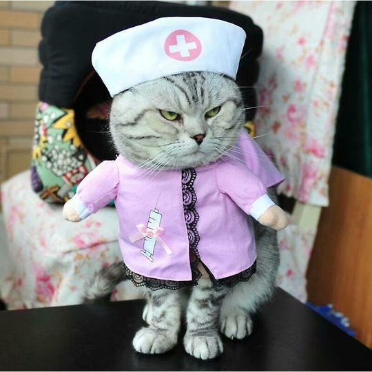 Pet Supplies Dog Clothes, Nurses Stand Up And Transform Into Funny Outfits In l Size (style 3) - Thsinde