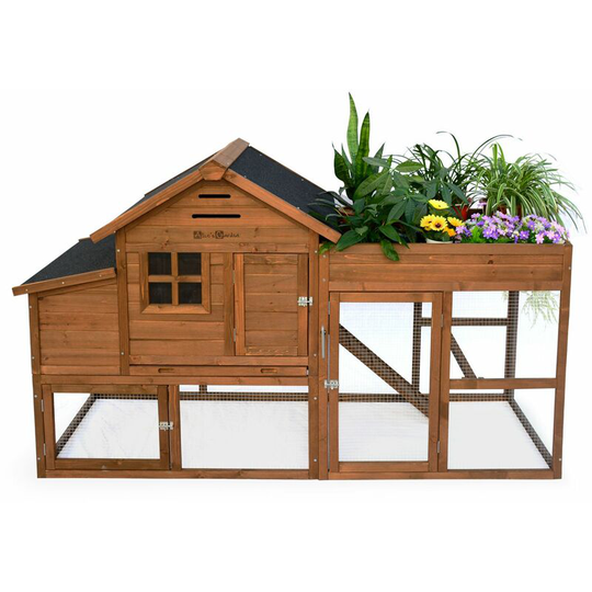 Alice's Garden - Wooden chicken coop with integrated planter - campine, chicken coop for 3 chickens, with enclosure and integrated planter - Wood