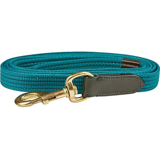 Leather Web Lead Rope (2m) (Burgundy/Brown) - Burgundy/Brown - Kincade