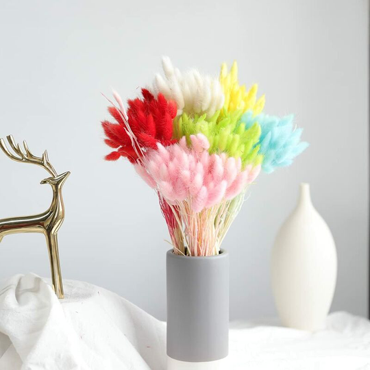 Rabbit Tail Bouquet 100% Natural Dried Flowers, Hand-Picked, Safe Packaging, Used for Home Decor