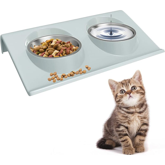 Litzee - Cat and Small Dog Bowl Anti-Slip Base, Pet Supplies 15? Incline(Blue)