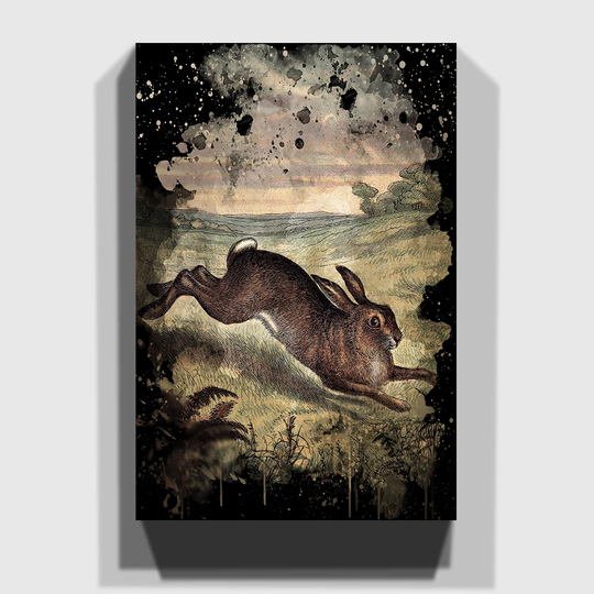 'Vintage Tame Animals Hare' Graphic Art on Wrapped Canvas
