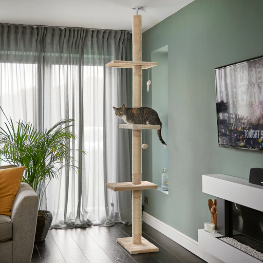 288cm Cat Tree