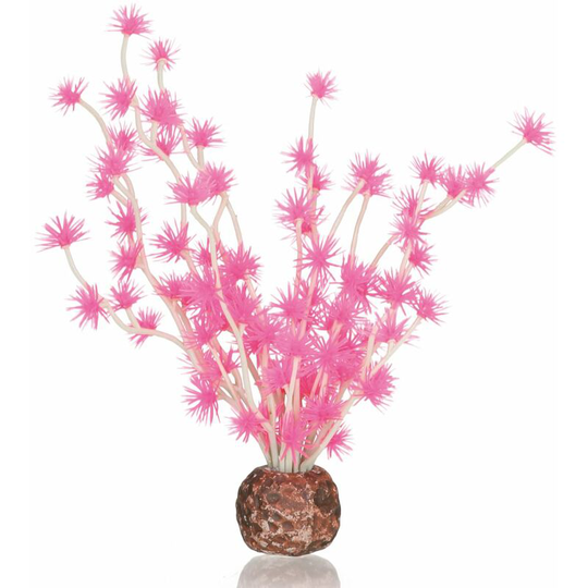 Biorb - Oase Aquarium Decoration Bonsai Ball Pink
