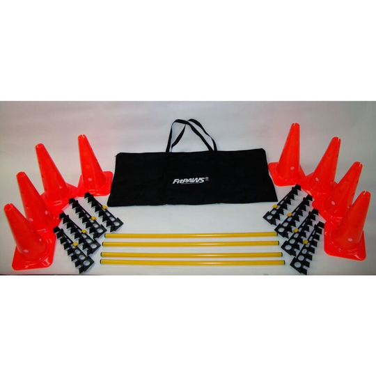 Hurdle Set Fitpaws Multicolour