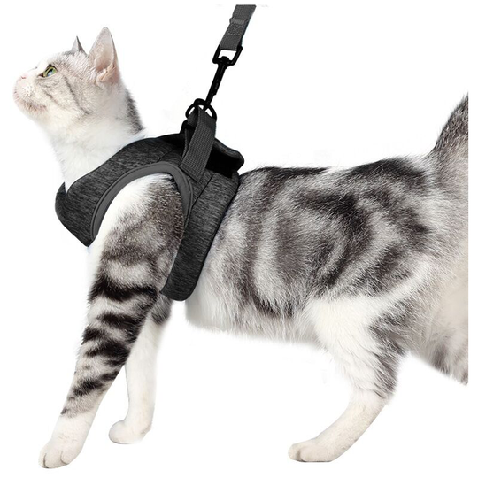 Cat Harness and Leash Set Anti-Escape, Adjustable and Padded with Running Padding, Comfortable Outdoor Jacket for Kitten, Puppy, Rabbit (s, Grau)