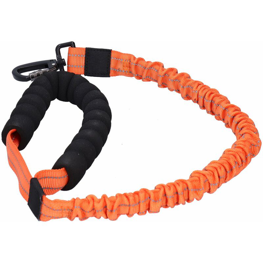 Outdoor Pet Nylon Reflective Leash Elastic Dog Walking Leash for Small Medium Large DogsOrange