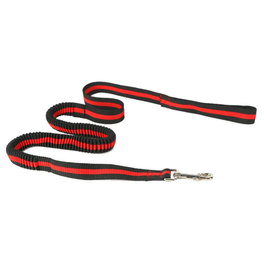 Noctilucent Elastic Adjustable Retractable Lead Rope Dog Running Leash Shock Absorbing Restraints Durable for Pet Vest